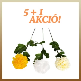 Krizantém szálas 64cm 5+1 AKCIÓ 50607