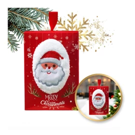 Karácsonyi ajándéktáska – Mikulás mintával (35 × 35 cm) REC59WZ1